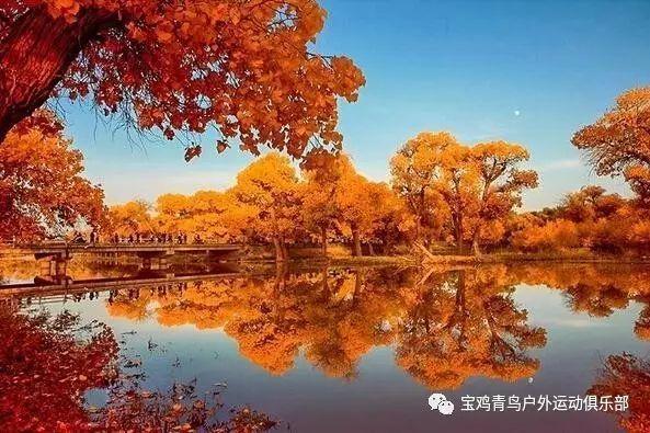 探索实际上的英语最新活动,了解更多资讯-实际上的英语红迪网
